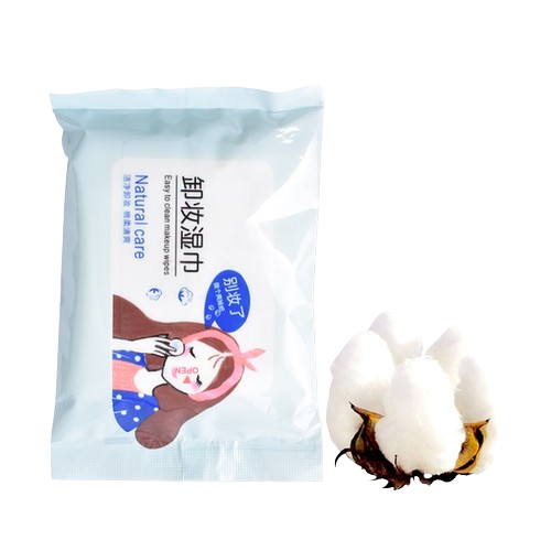 Toallitas humedas de limpieza profunda x 25 (BQY57508)